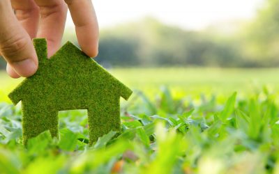 How to Keep Your Move as Eco-Friendly as Possible