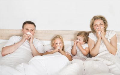 5 Ways To Protect Your New Home Against Summer Allergens