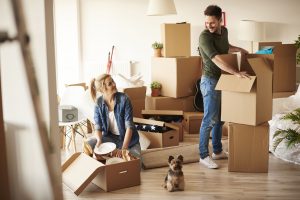 5-things-to-consider-when-moving-with-pets