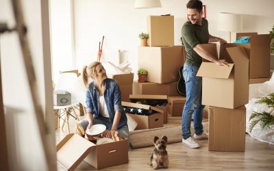 5 Things to Consider When Moving With Pets